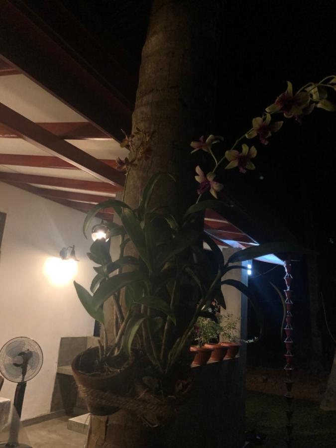 Lohas Villa Hiriketiya ディックウェラ エクステリア 写真