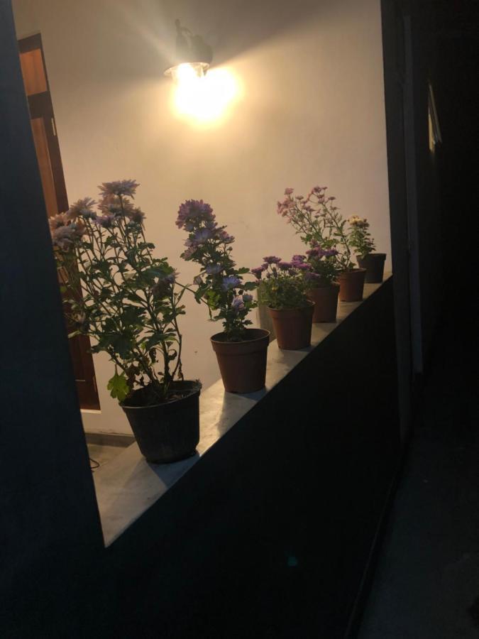 Lohas Villa Hiriketiya ディックウェラ エクステリア 写真