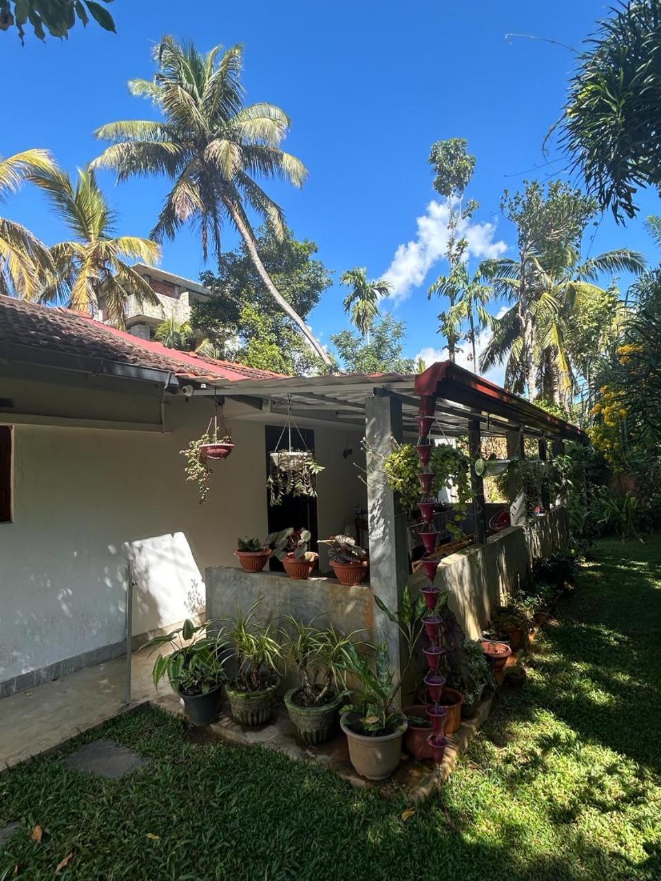 Lohas Villa Hiriketiya ディックウェラ エクステリア 写真