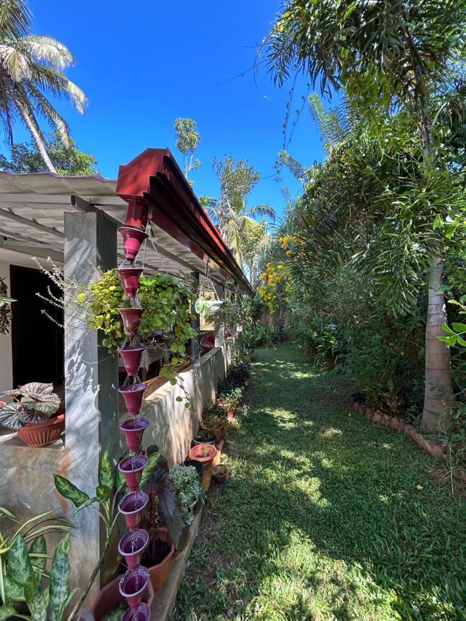 Lohas Villa Hiriketiya ディックウェラ エクステリア 写真